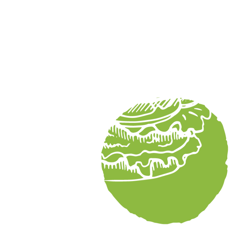 Home Steel Valley Brew Works